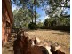 50 Panorama Drive (Granny Flat), Glenvale QLD 4350