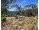3826 Gatton-Clifton Road, Hirstglen QLD 4359