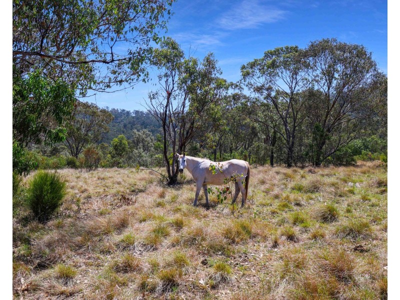 3826 Gatton-Clifton Road, Hirstglen QLD 4359