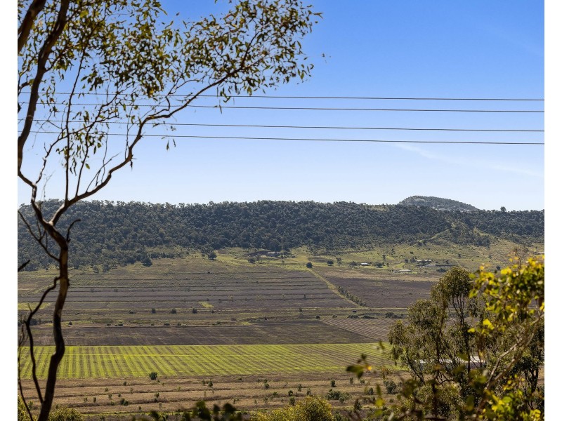14 Linora Drive, Gowrie Mountain QLD 4350