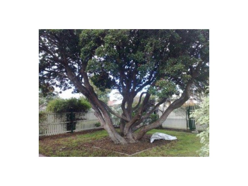 1/35 Keith Avenue, Edithvale VIC 3196