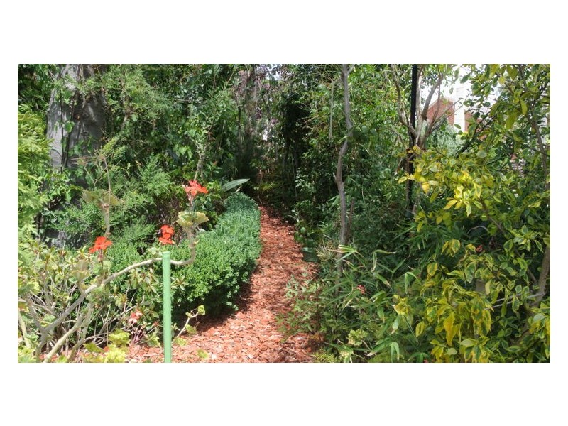 4 Blossom Drive, Doveton VIC 3177