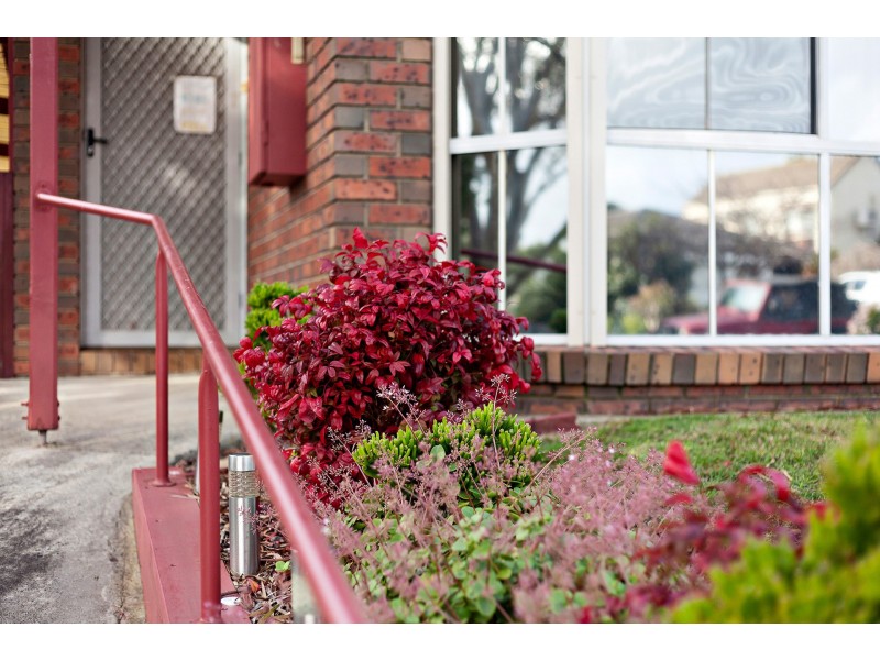 3 Illowra Court, Berwick VIC 3806