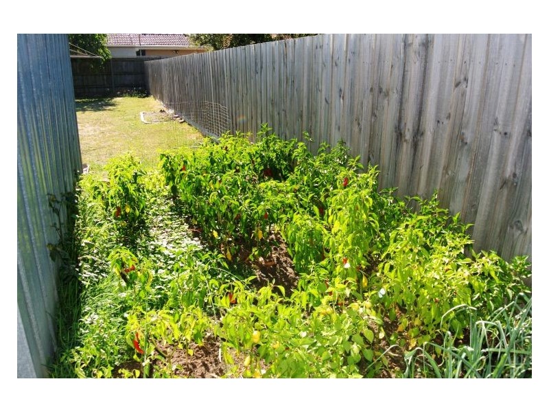 115 Langhorne Street, Dandenong VIC 3175