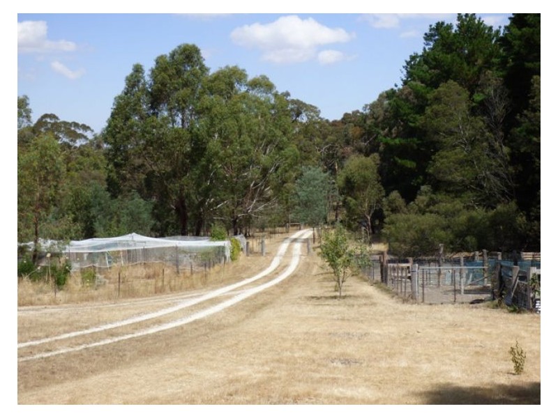 205 Dalgleishs Road, Beaufort VIC 3373