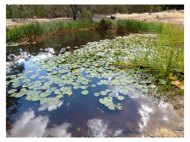 205 Dalgleishs Road, Beaufort VIC 3373