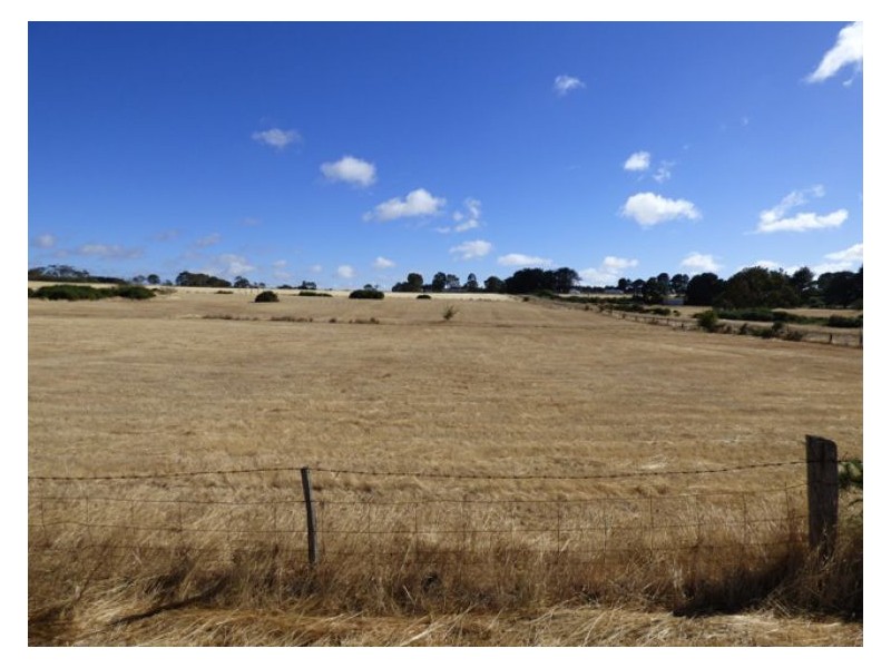 2 Halls Lane, Snake Valley VIC 3351