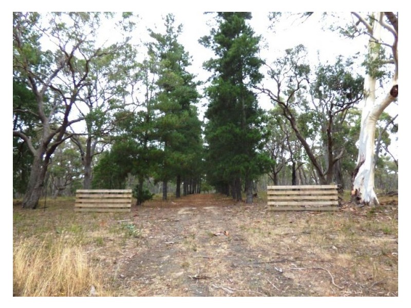 364 Ferrers Road, Dereel VIC 3352