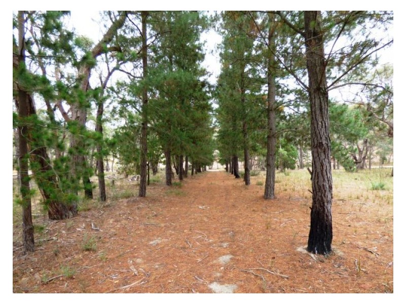 364 Ferrers Road, Dereel VIC 3352