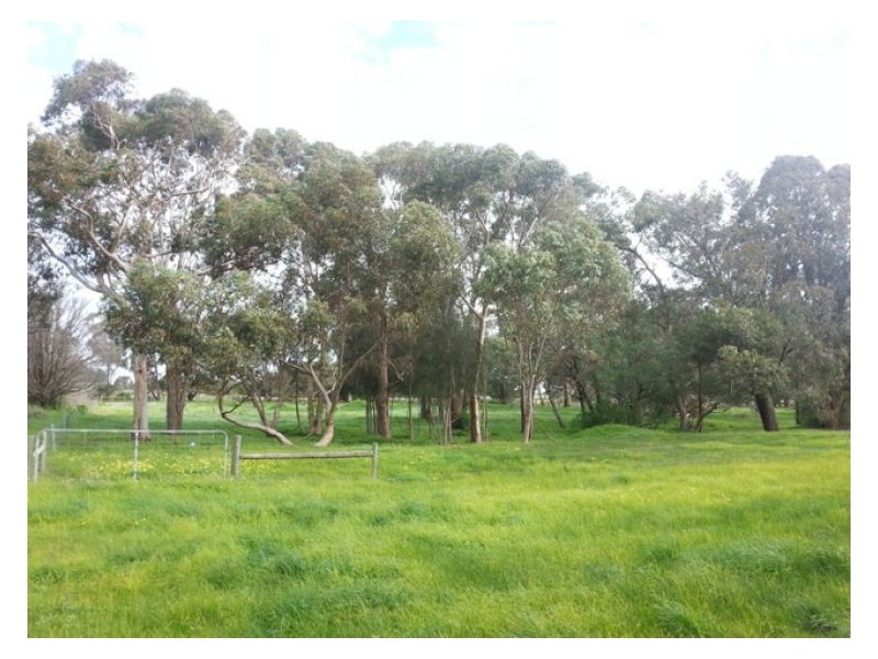 30 McMillian, Rokewood VIC 3330