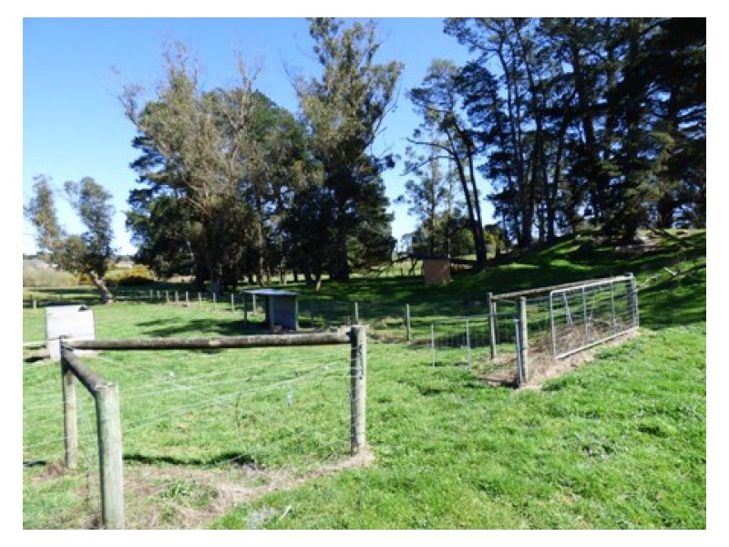 24 Linton/Naringhil Road, Linton VIC 3360