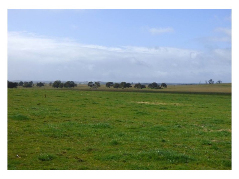 37 Lake Goldsmith Road, Mena Park VIC 3373