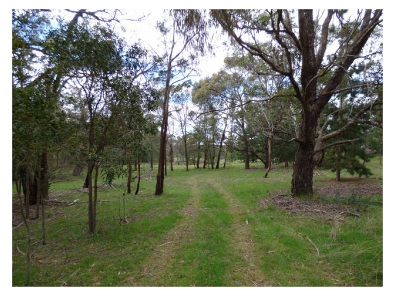 97 Acacia Road, Dereel VIC 3352