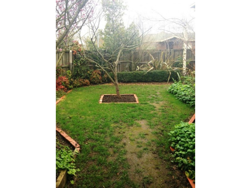 10 College Street, Wendouree VIC 3355