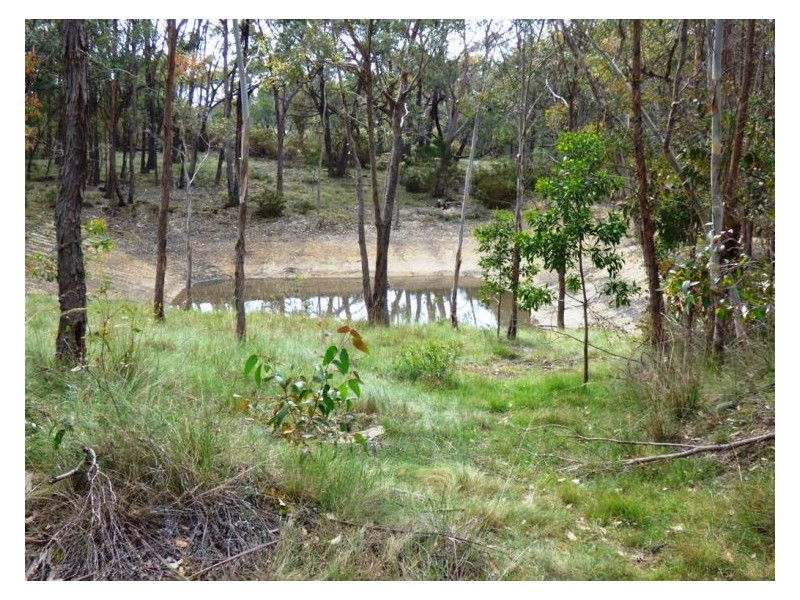 79 Racecourse Road, Snake Valley VIC 3351