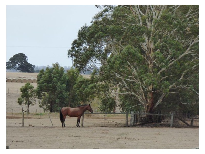 57 Brays Road, Cambrian Hill VIC 3352