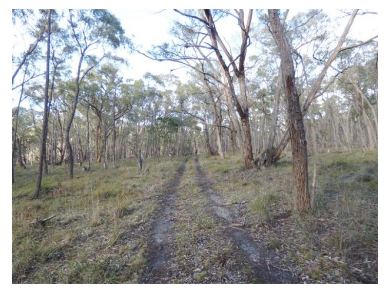 11E Guys Rd, Beaufort VIC 3373