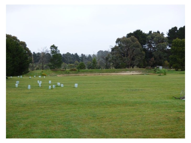 48 Grevillea Drive, Enfield VIC 3352