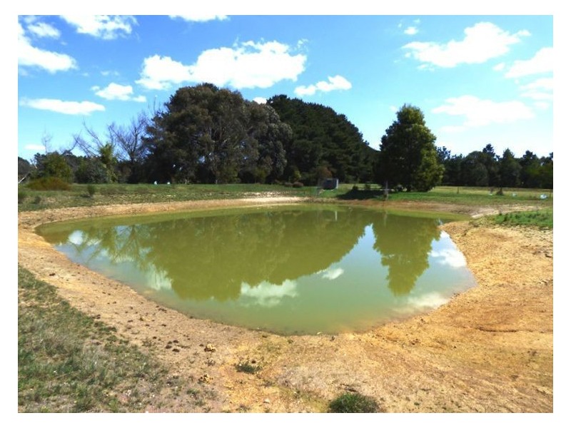 48 Grevillea Drive, Enfield VIC 3352