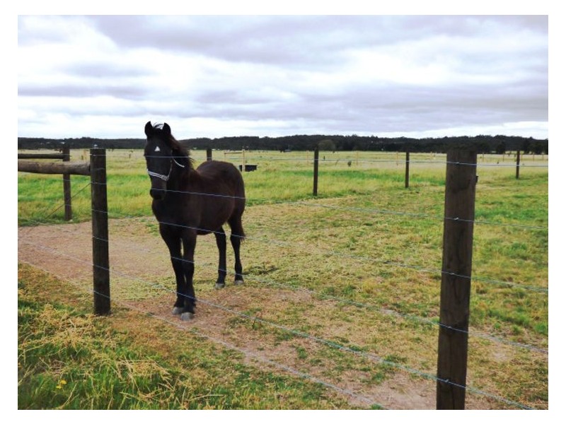 70 Vaggs Road, Ross Creek VIC 3351