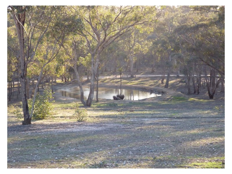 59 Simpsons Lane, Evansford VIC 3371