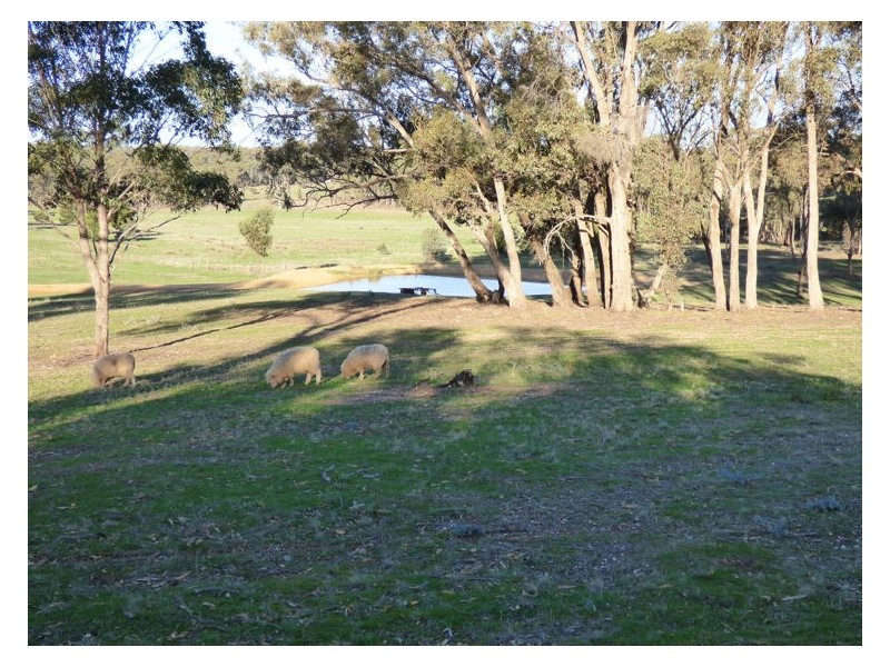 59 Simpsons Lane, Clunes VIC 3370