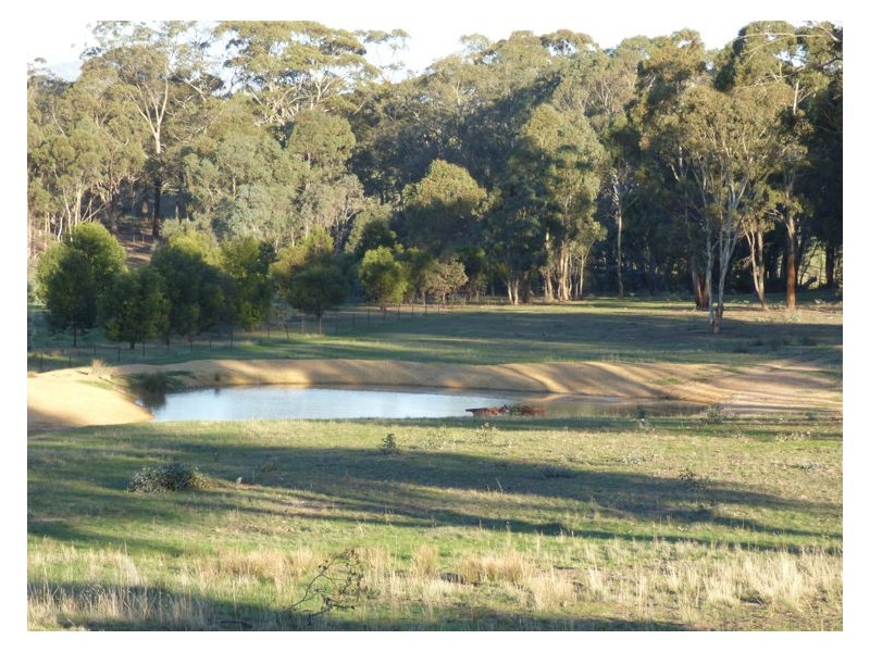 59 Simpsons Lane, Clunes VIC 3370