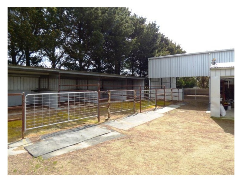 73 Rileys Road, Snake Valley VIC 3351