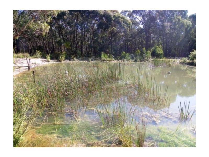 156 Moffats Rd, Dereel VIC 3352