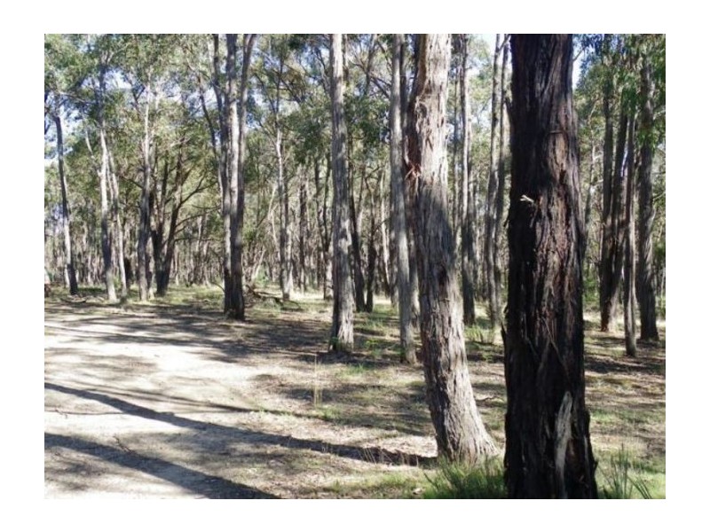 156 Moffats Rd, Dereel VIC 3352