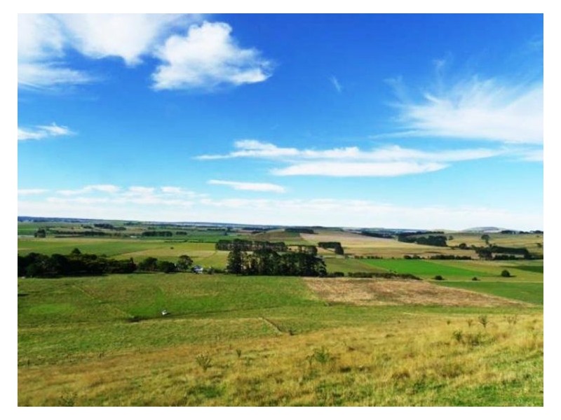 2 Griffins Road, Coghills Creek VIC 3364