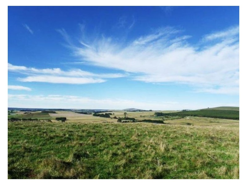 2 Griffins Road, Coghills Creek VIC 3364