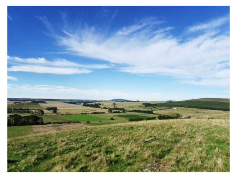 2 Griffins Road, Coghills Creek VIC 3364