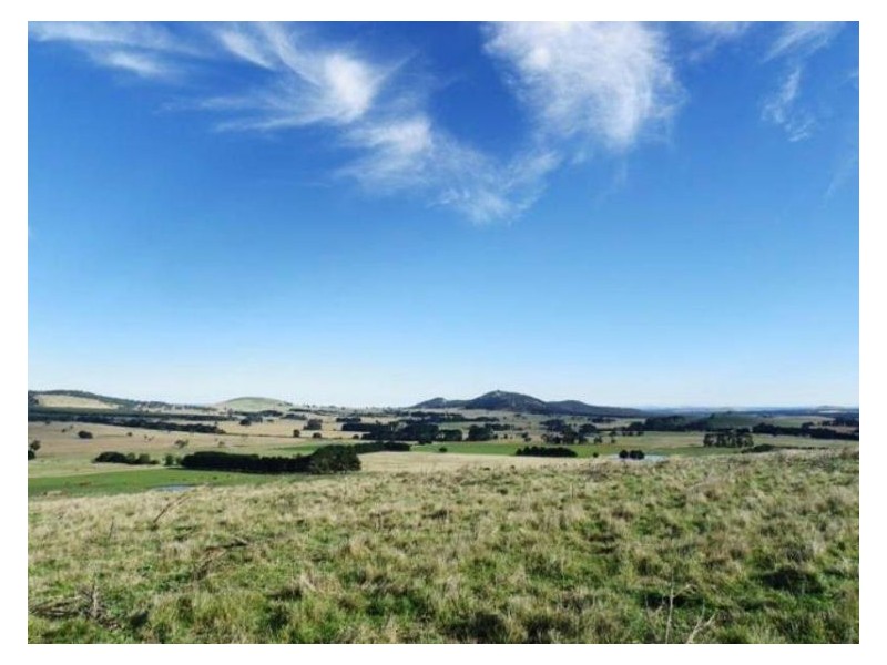 2 Griffins Road, Coghills Creek VIC 3364