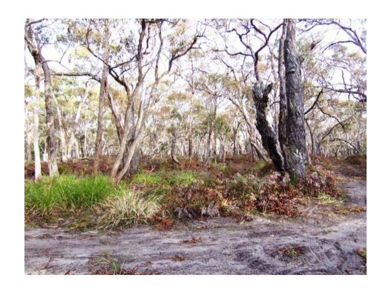 Lot 40 Bliss Road, Dereel VIC 3352