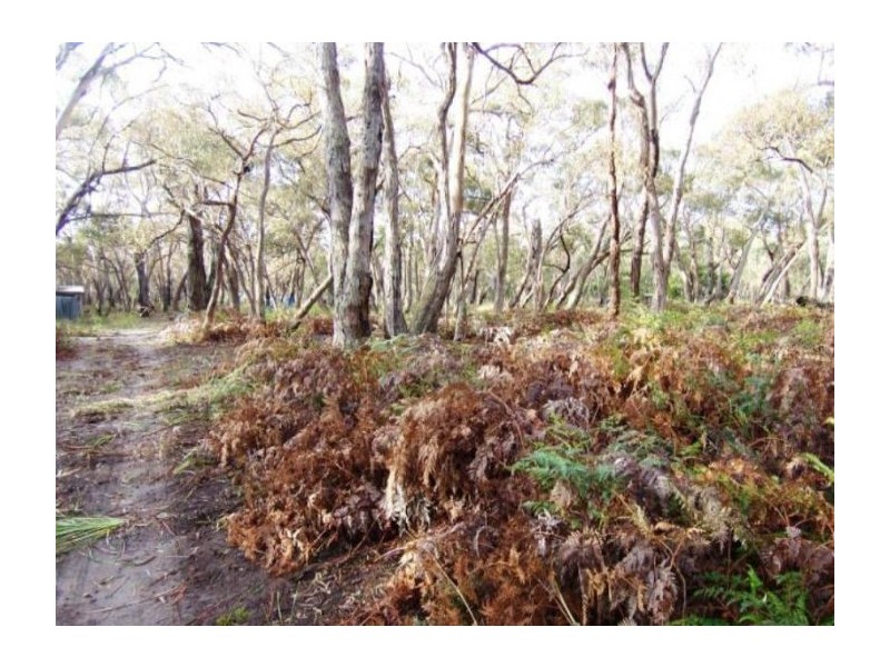 Lot 40 Bliss Road, Dereel VIC 3352