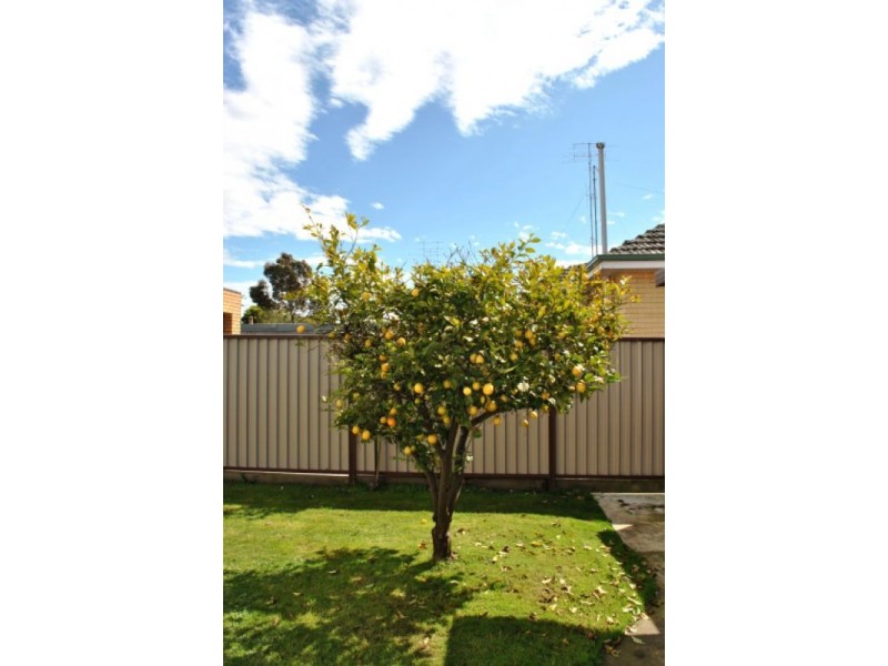 15 Goderic Street, Wendouree VIC 3355