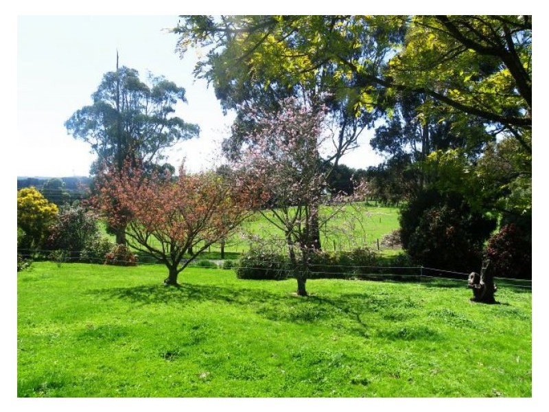 9 Hill Top Road, Brown Hill VIC 3350