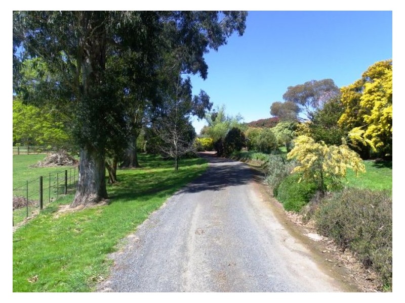 9 Hill Top Road, Brown Hill VIC 3350