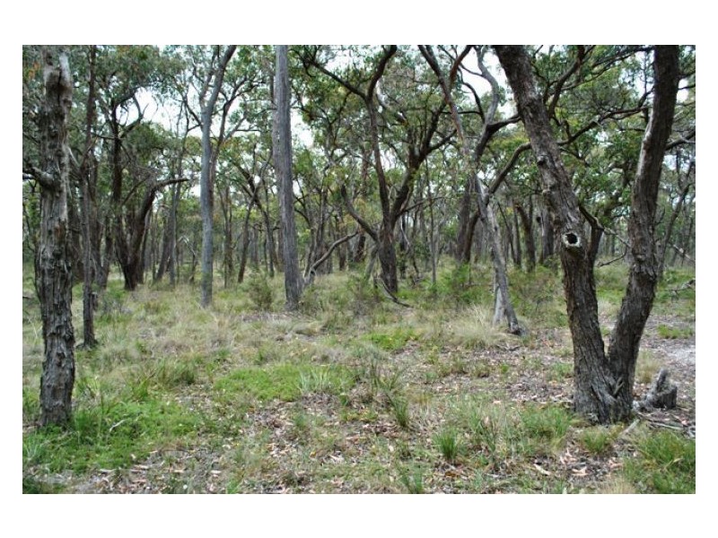 149 Rifle Butts Road, Beaufort VIC 3373