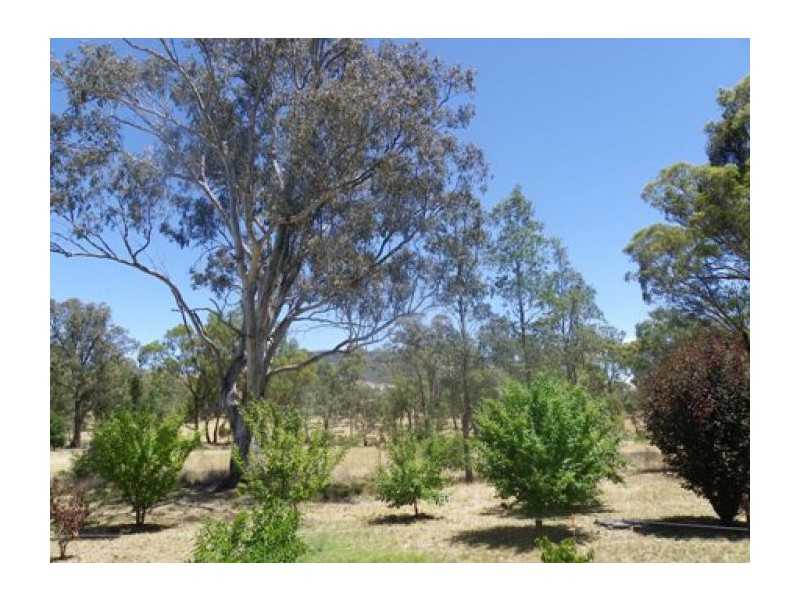 81 Hillarys, Elmhurst VIC 3469