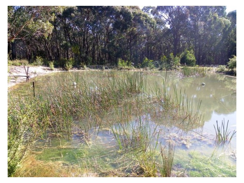 156 Mofats Road, Dereel VIC 3352