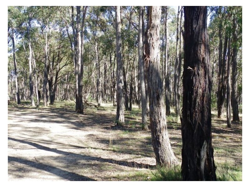 156 Mofats Road, Dereel VIC 3352