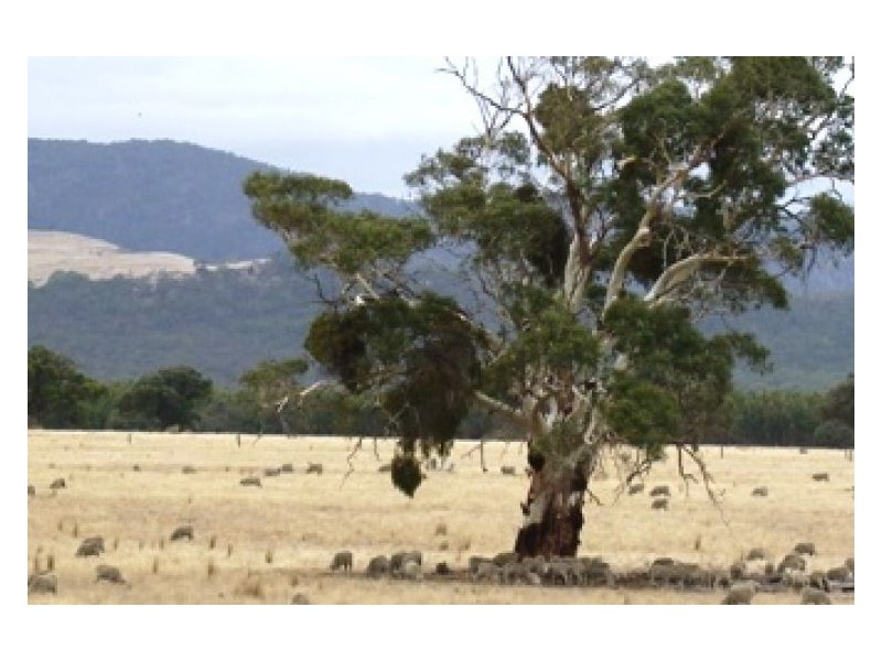 298 Buangor – Ben Nevis Road, Buangor VIC 3375