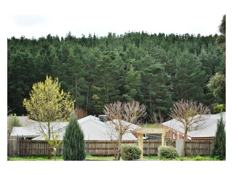 813 Eureka Street, Ballarat VIC 3350