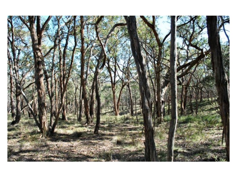 37A Quilliams Road, Snake Valley VIC 3351