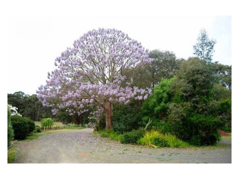 629 Bells Road, Smythes Creek VIC 3351