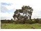 Lot 1 Youngs Lane, Snake Valley VIC 3351