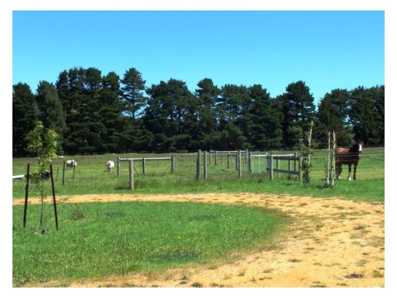 302 Gordon – Mount Egerton Road, Mount Egerton VIC 3352