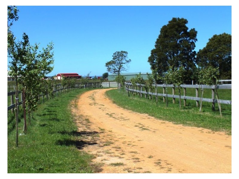 302 Gordon – Mount Egerton Road, Mount Egerton VIC 3352